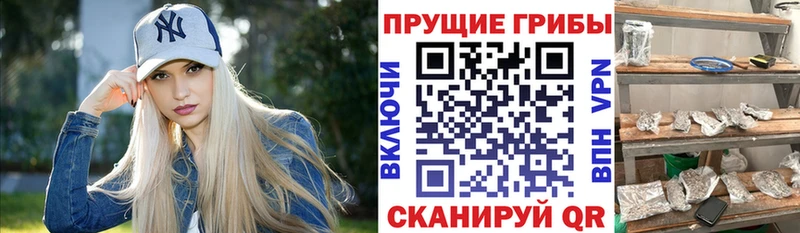 Псилоцибиновые грибы мицелий наркота Галич
